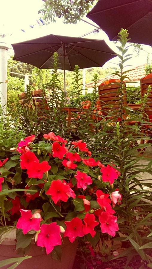 Motel Stone Gardens Doli Екстер'єр фото
